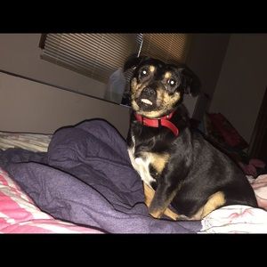 Bundling now offered !!!!